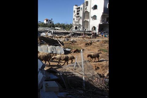 Some of the 4,000 homes destroyed in the Israeli invasion of Gaza